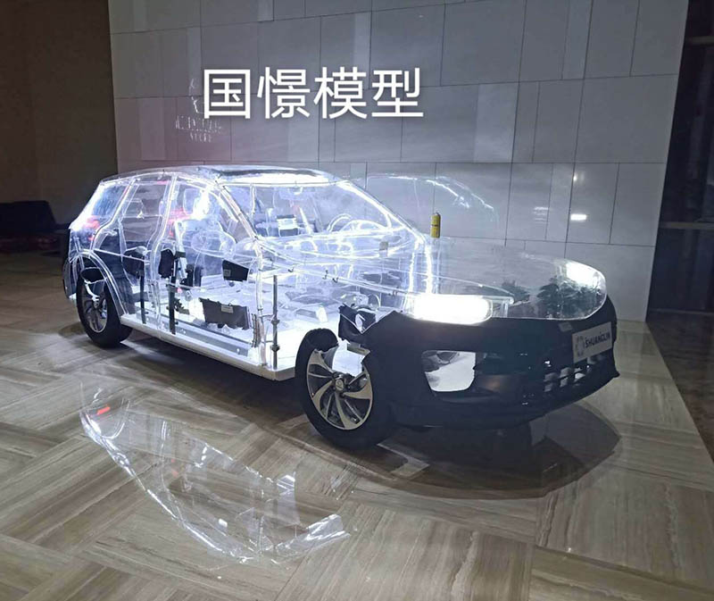 左贡县透明车模型